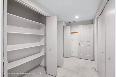 1007 Crown Drive, Carbondale, CO 81623 - Photo 28