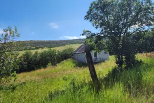 7900 Co Rd 41, Hamilton, CO 81638 - Photo 4