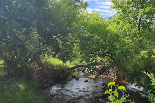 7900 Co Rd 41, Hamilton, CO 81638 - Photo 22