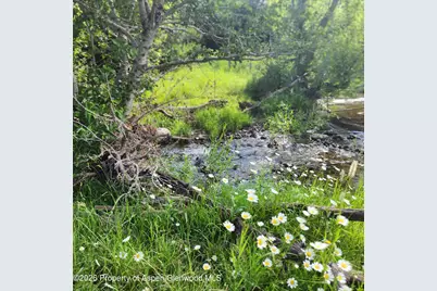 7900 County Road 41, Hamilton, CO 81638 - Photo 12