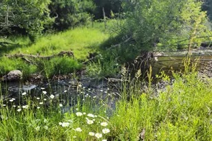7900 Co Rd 41, Hamilton, CO 81638 - Photo 14