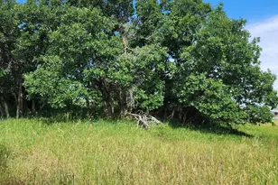 7900 Co Rd 41, Hamilton, CO 81638 - Photo 10