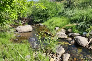 7900 Co Rd 41, Hamilton, CO 81638 - Photo 18