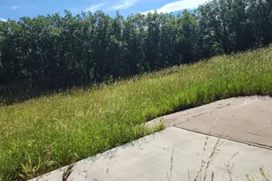 7900 Co Rd 41, Hamilton, CO 81638 - Photo 8