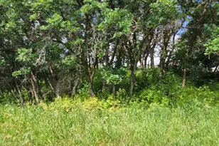 7900 Co Rd 41, Hamilton, CO 81638 - Photo 24