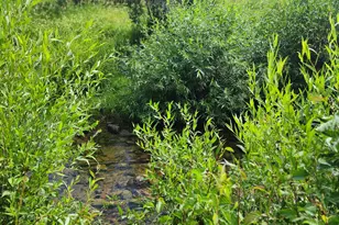 7900 Co Rd 41, Hamilton, CO 81638 - Photo 28
