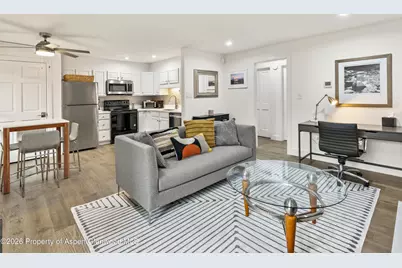 1020 E Durant Avenue #203, Aspen, CO 81611 - Photo 2