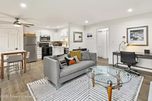 1020 E Durant Ave, Aspen, CO 81611 - Photo 2
