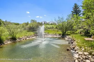 160 Spring Creek Rd, Basalt, CO 81621 - Photo 60