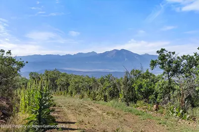 4080 County Road 121, Glenwood Springs, CO 81601 - Photo 2