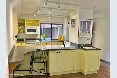 1214 Vine Street #1214, Aspen, CO 81611 - Photo 4