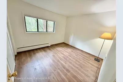 1214 Vine Street #1214, Aspen, CO 81611 - Photo 8