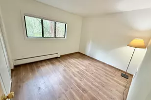 1214 Vine St, Aspen, CO 81611 - Photo 8