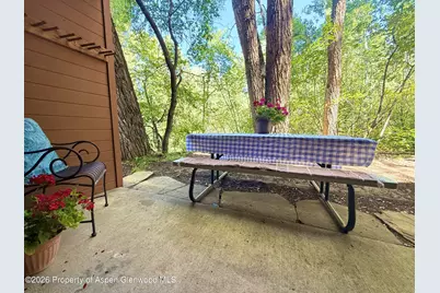 1214 Vine Street #1214, Aspen, CO 81611 - Photo 2