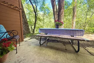 1214 Vine St, Aspen, CO 81611 - Photo 2
