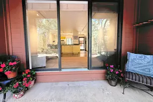 1214 Vine St, Aspen, CO 81611 - Photo 12