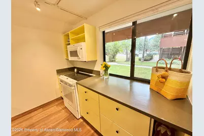 1214 Vine Street #1214, Aspen, CO 81611 - Photo 6