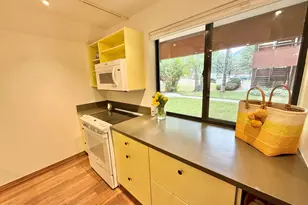 1214 Vine St, Aspen, CO 81611 - Photo 6