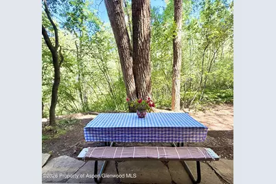 1214 Vine Street #1214, Aspen, CO 81611 - Photo 10