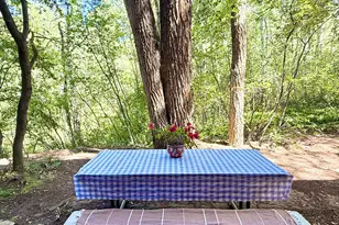 1214 Vine St, Aspen, CO 81611 - Photo 10