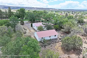 594 NW 9th St, Cedaredge, CO 81413 - Photo 2
