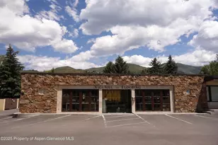 113 Sage Way, Aspen, CO 81611 - Photo 1