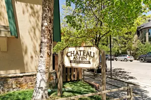 630 E Cooper Ave, Aspen, CO 81611 - Photo 24