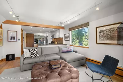 1221 Vine Street #1221, Aspen, CO 81611 - Photo 10