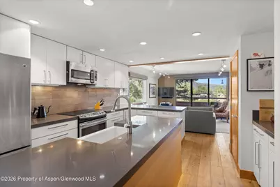 1221 Vine Street #1221, Aspen, CO 81611 - Photo 1