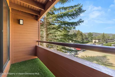 1221 Vine Street #1221, Aspen, CO 81611 - Photo 16