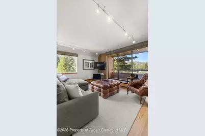 1221 Vine Street #1221, Aspen, CO 81611 - Photo 14
