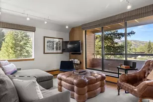 1221 Vine St, Aspen, CO 81611 - Photo 14