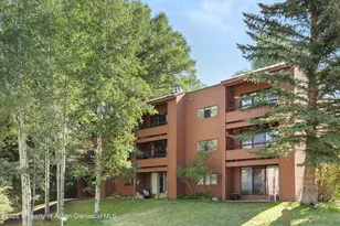 1221 Vine St, Aspen, CO 81611 - Photo 8