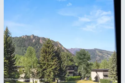 1221 Vine Street #1221, Aspen, CO 81611 - Photo 6