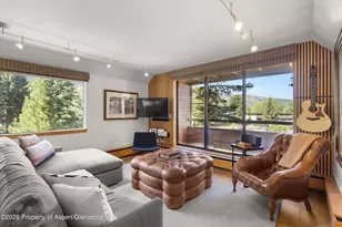 1221 Vine St, Aspen, CO 81611 - Photo 2