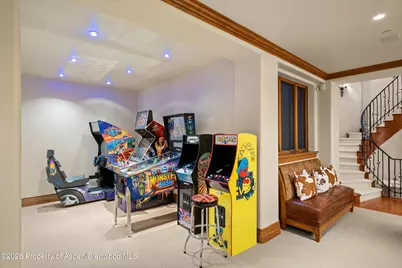 691 Pfister Drive, Aspen, CO 81611 - Photo 30