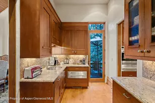 691 Pfister Dr, Aspen, CO 81611 - Photo 28