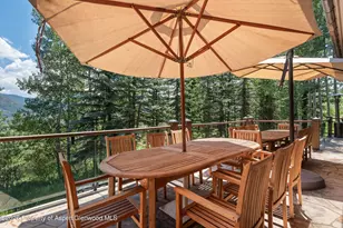 691 Pfister Dr, Aspen, CO 81611 - Photo 72