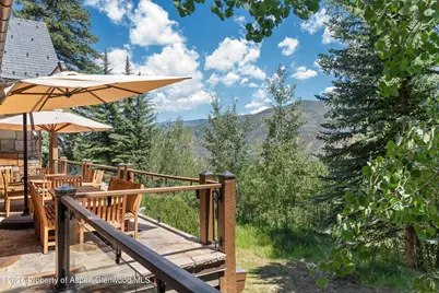 691 Pfister Drive, Aspen, CO 81611 - Photo 74