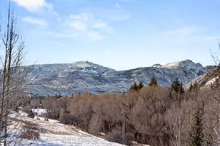 776 Snowmass Creek Rd, Snowmass, CO 81654 - Photo 26