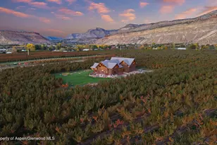 3875 F 3/4 Rd, Palisade, CO 81526 - Photo 40
