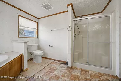 870 Jerimiah Avenue, Craig, CO 81625 - Photo 22