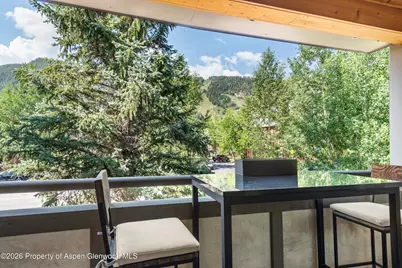 600 E Main Street #301, Aspen, CO 81611 - Photo 4