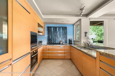 600 E Main Street #301, Aspen, CO 81611 - Photo 6