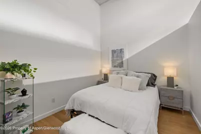 231 Robinson Street #218, Basalt, CO 81621 - Photo 12