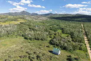 276 Sycamore Rd, Craig, CO 81625 - Photo 22