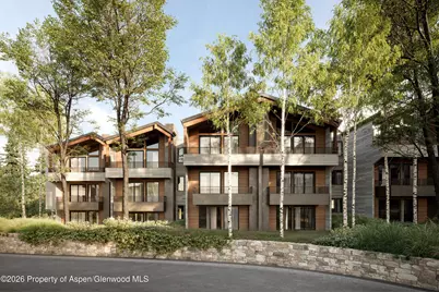 610 S West End Street #D105, Aspen, CO 81611 - Photo 4