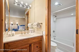 610 S West End St, Aspen, CO 81611 - Photo 16