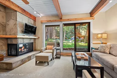 610 S West End Street #D105, Aspen, CO 81611 - Photo 2