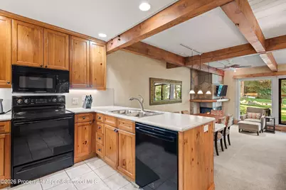 610 S West End Street #D105, Aspen, CO 81611 - Photo 10